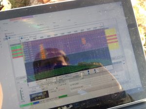 WSJT-X